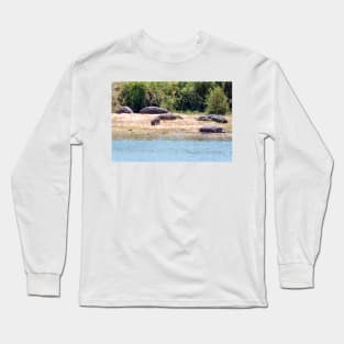 Hippo Family in Kruger National Park - South Africa Long Sleeve T-Shirt